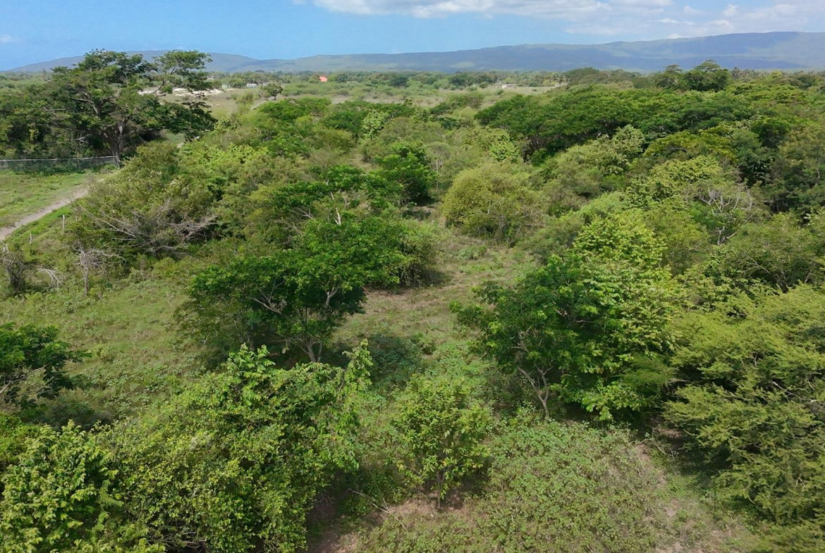Third image of Rhymesbury in Rhymesbury, Clarendon, Jamaica - property is For Sale