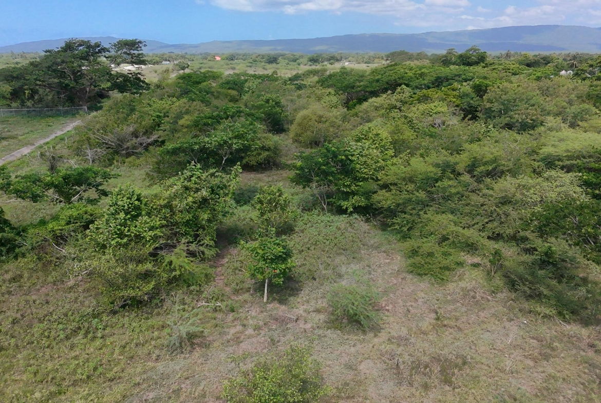 Fourth image of Rhymesbury in Rhymesbury, Clarendon, Jamaica - property is For Sale