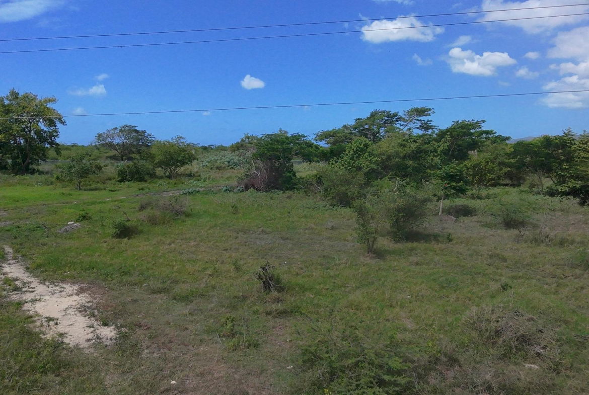 Sixth image of Rhymesbury in Rhymesbury, Clarendon, Jamaica - property is For Sale