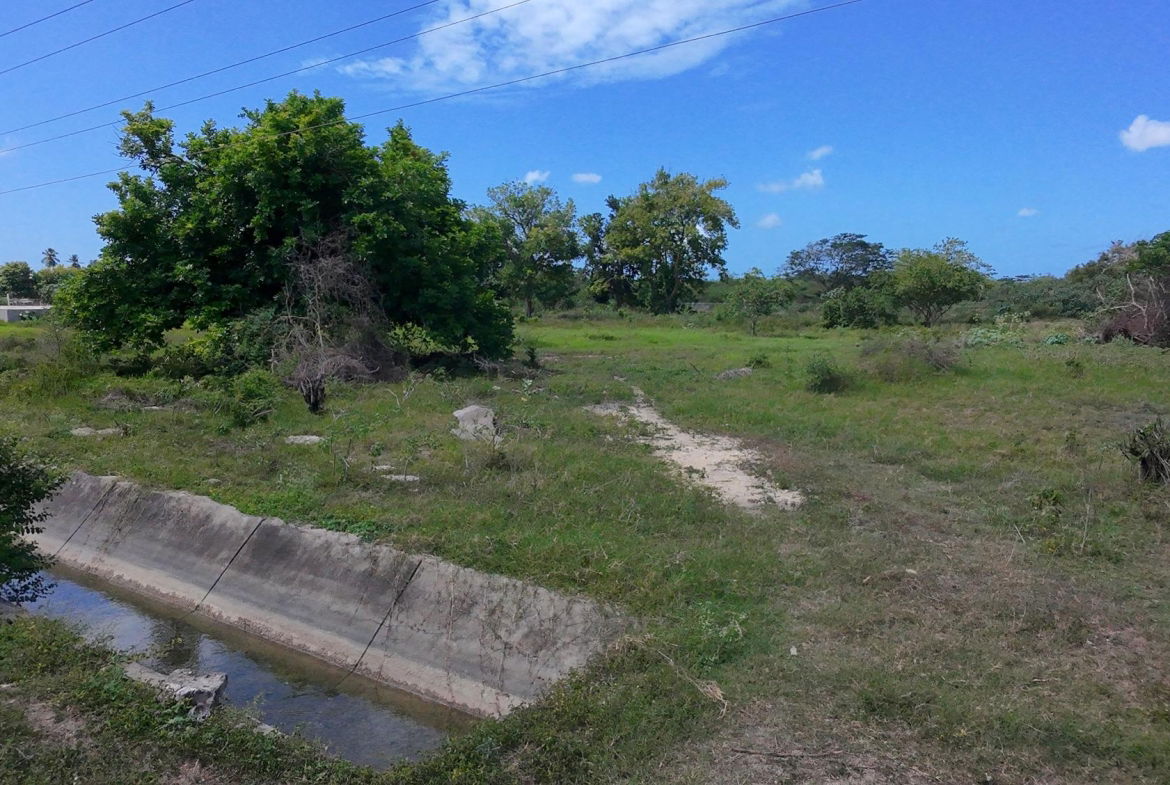 Seventh image of Rhymesbury in Rhymesbury, Clarendon, Jamaica - property is For Sale