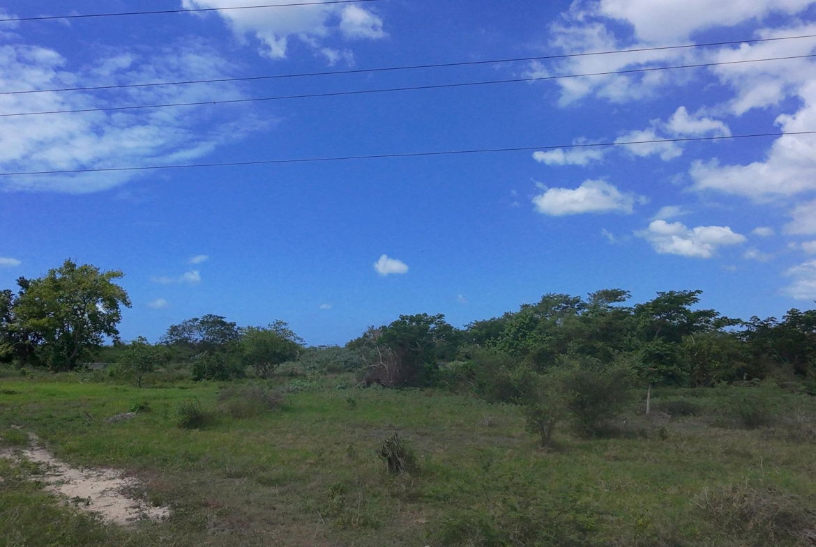 Eighth image of Rhymesbury in Rhymesbury, Clarendon, Jamaica - property is For Sale