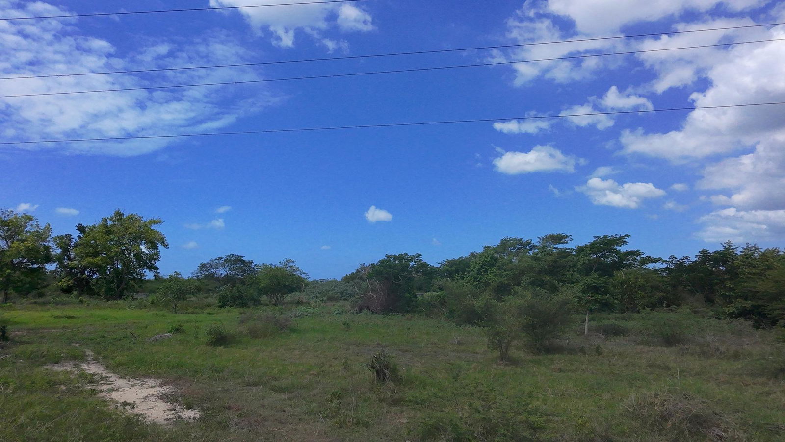 Eighth image of Rhymesbury in Rhymesbury, Clarendon, Jamaica - property is For Sale