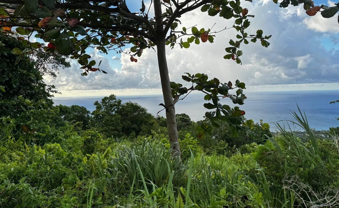 Second image of Friendship Grove, Hopewel in Friendship, Hanover, Jamaica - property is For Sale