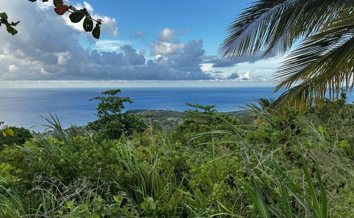 First image of Friendship Grove, Hopewel in Friendship, Hanover, Jamaica - property is For Sale