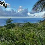 First image of Friendship Grove, Hopewel in Friendship, Hanover, Jamaica - property is For Sale