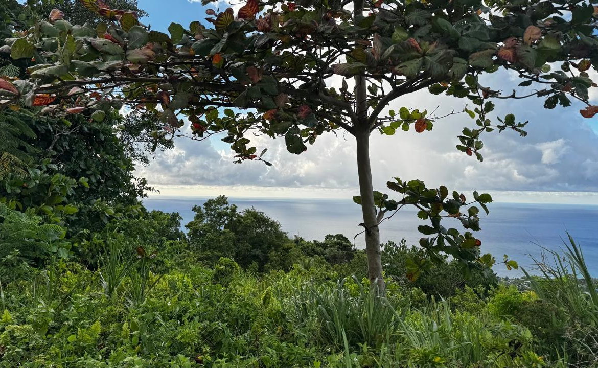 Third image of Friendship Grove, Hopewel in Friendship, Hanover, Jamaica - property is For Sale