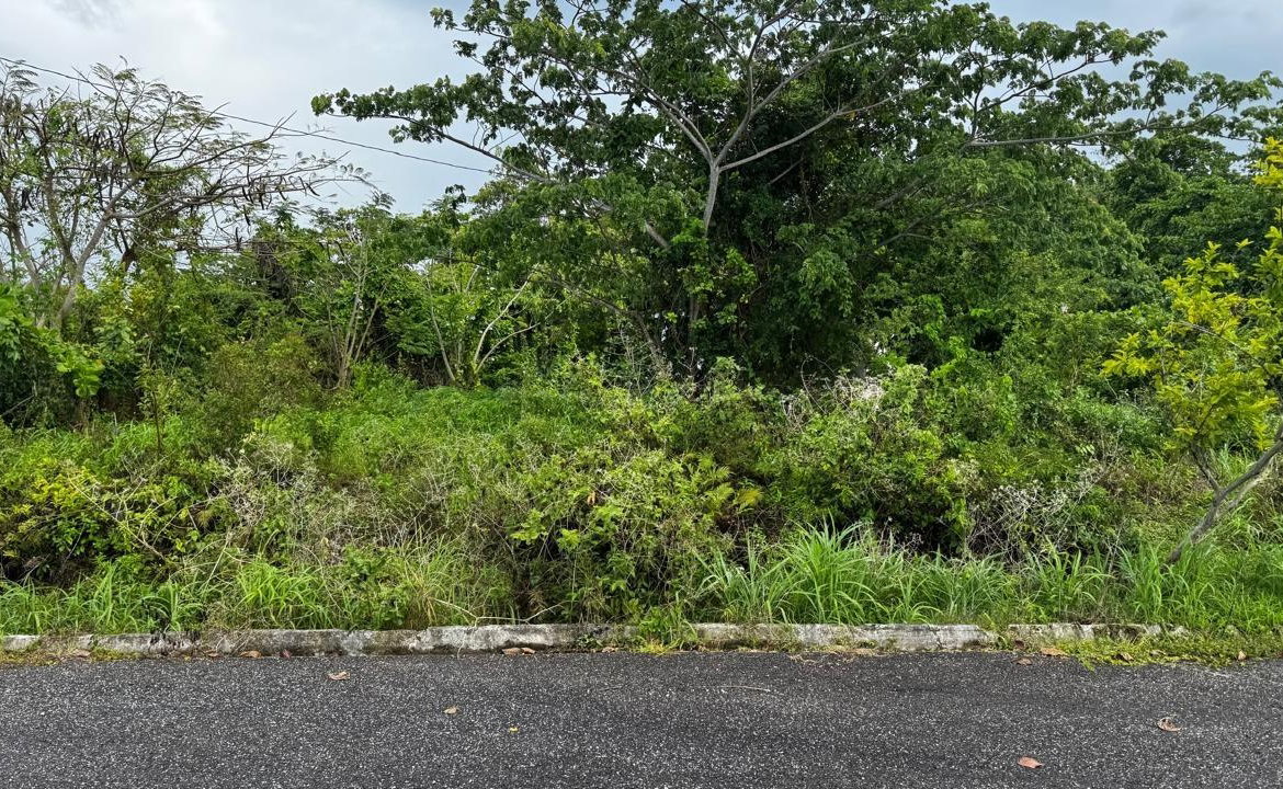 Fourth image of Friendship Grove, Hopewel in Friendship, Hanover, Jamaica - property is For Sale
