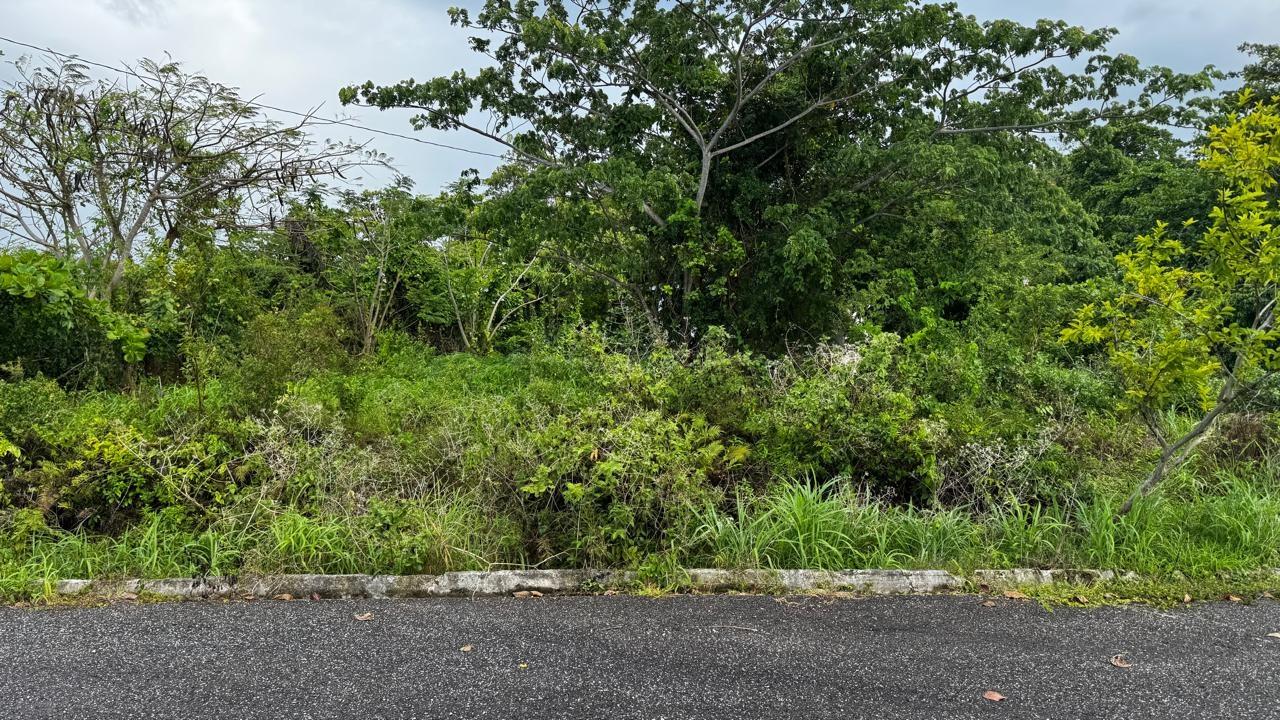Fourth image of Friendship Grove, Hopewel in Friendship, Hanover, Jamaica - property is For Sale