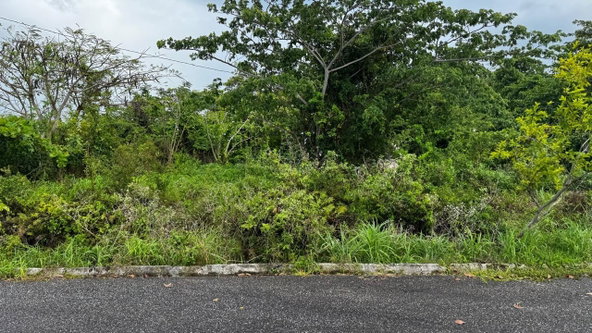 Fourth image of Friendship Grove, Hopewel in Friendship, Hanover, Jamaica - property is For Sale