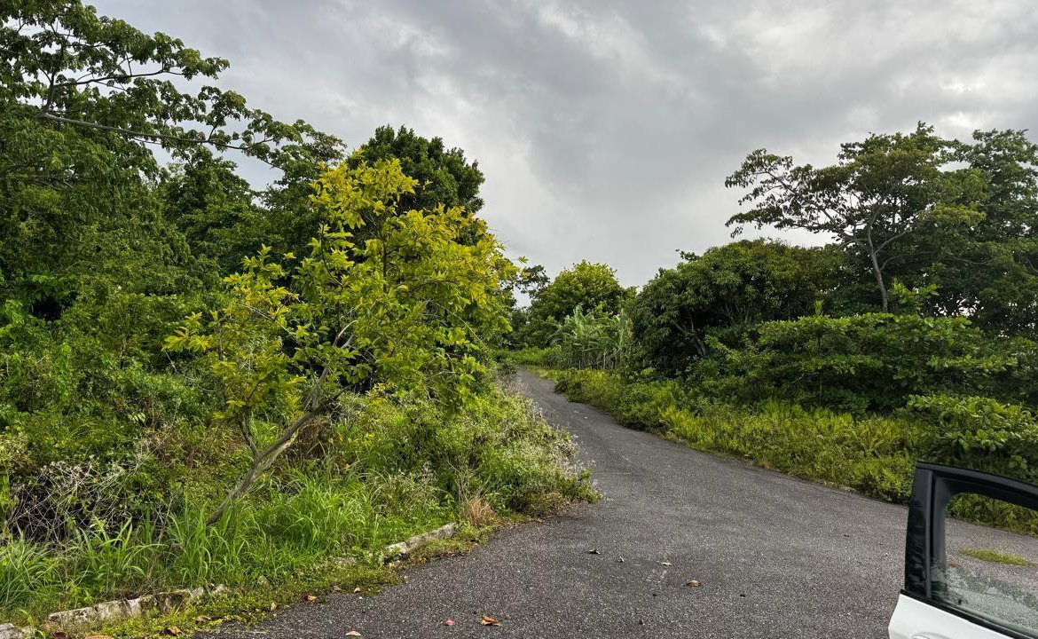 Fifth image of Friendship Grove, Hopewel in Friendship, Hanover, Jamaica - property is For Sale