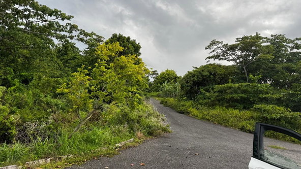 Fifth image of Friendship Grove, Hopewel in Friendship, Hanover, Jamaica - property is For Sale