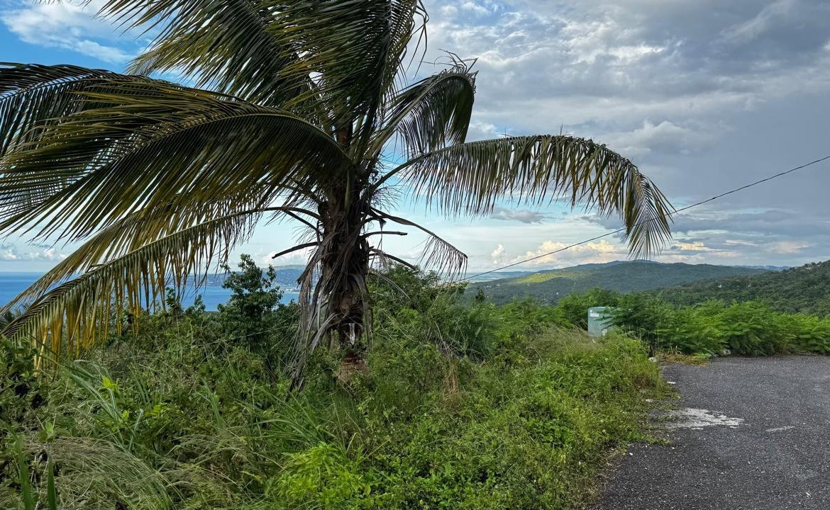 Sixth image of Friendship Grove, Hopewel in Friendship, Hanover, Jamaica - property is For Sale