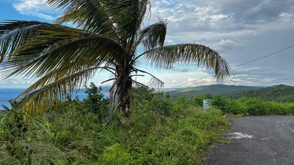 Sixth image of Friendship Grove, Hopewel in Friendship, Hanover, Jamaica - property is For Sale