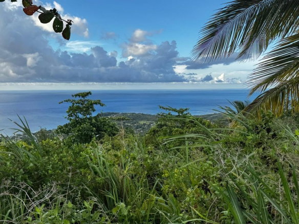 First image of Friendship Grove, Hopewel in Friendship, Hanover, Jamaica - property is For Sale