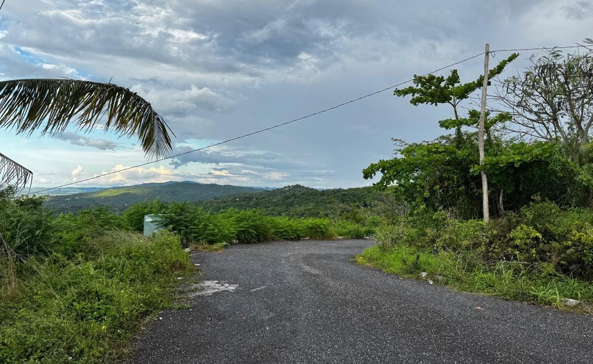 Seventh image of Friendship Grove, Hopewel in Friendship, Hanover, Jamaica - property is For Sale