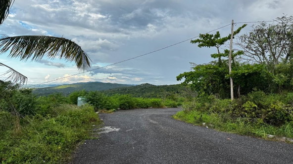 Seventh image of Friendship Grove, Hopewel in Friendship, Hanover, Jamaica - property is For Sale