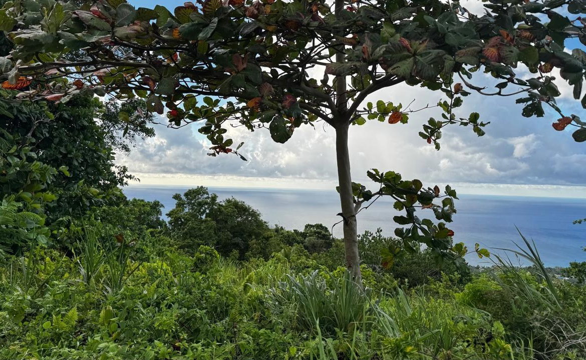 Eighth image of Friendship Grove, Hopewel in Friendship, Hanover, Jamaica - property is For Sale