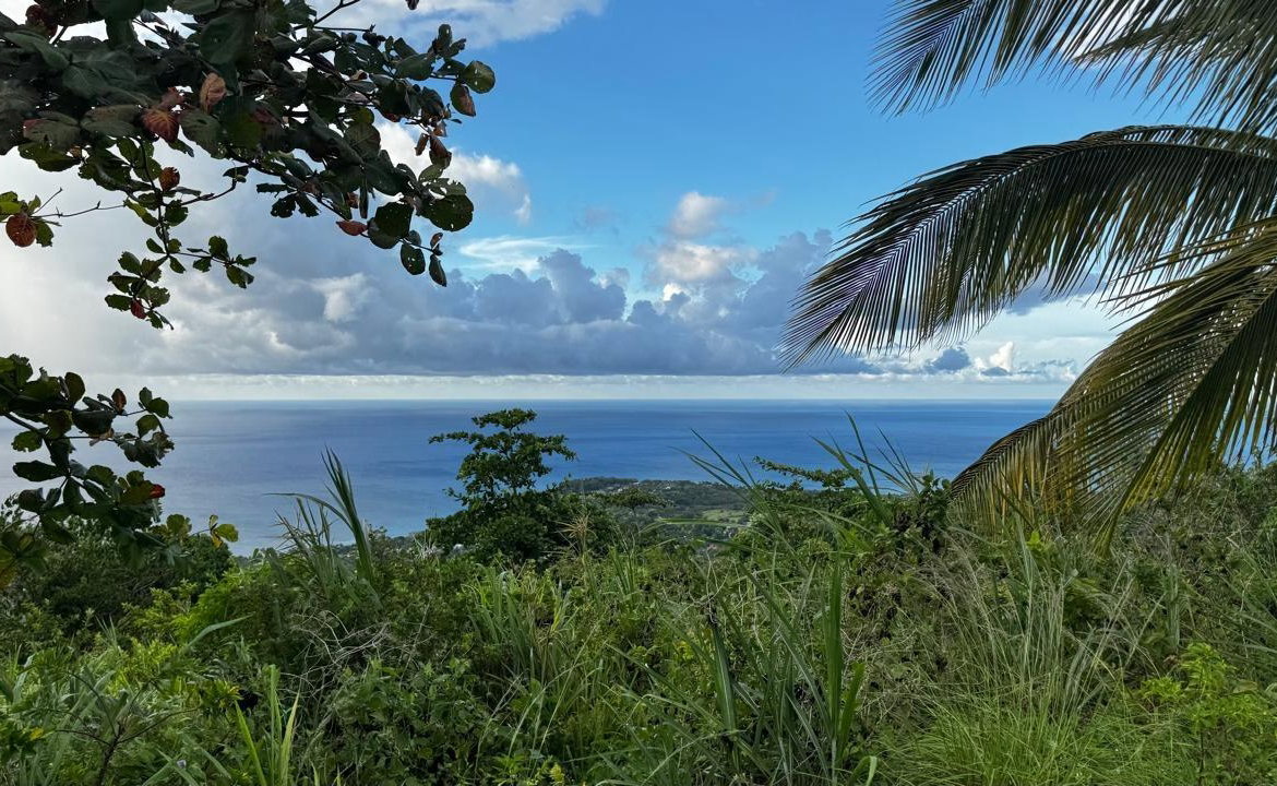 Ninth image of Friendship Grove, Hopewel in Friendship, Hanover, Jamaica - property is For Sale