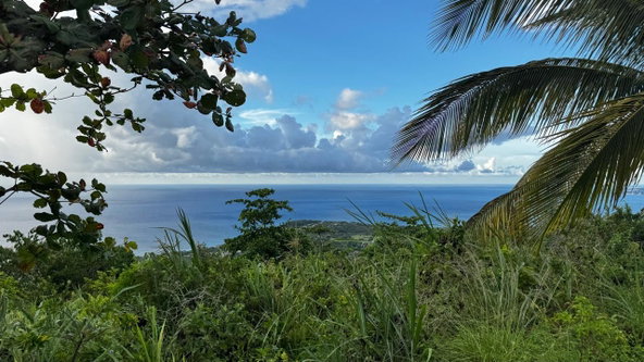 Ninth image of Friendship Grove, Hopewel in Friendship, Hanover, Jamaica - property is For Sale