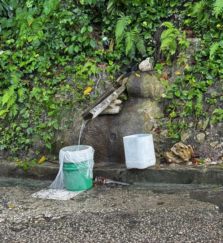 Tenth image of Friendship Grove, Hopewel in Friendship, Hanover, Jamaica - property is For Sale