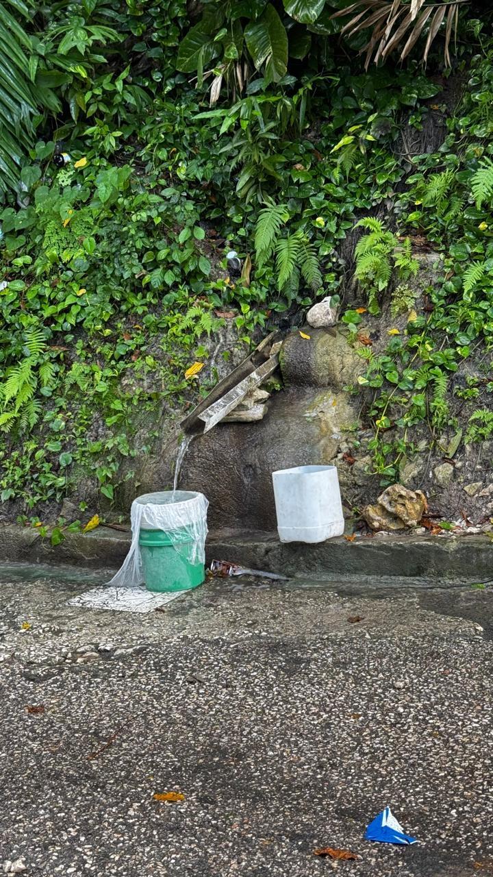 Tenth image of Friendship Grove, Hopewel in Friendship, Hanover, Jamaica - property is For Sale