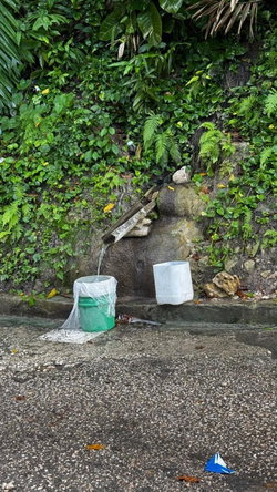 Tenth image of Friendship Grove, Hopewel in Friendship, Hanover, Jamaica - property is For Sale