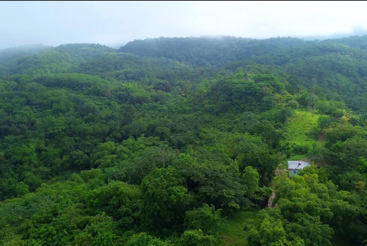 Sixth image of Knollis, West Prospect st in Harkers Hall, St. Catherine, Jamaica - property is For Sale