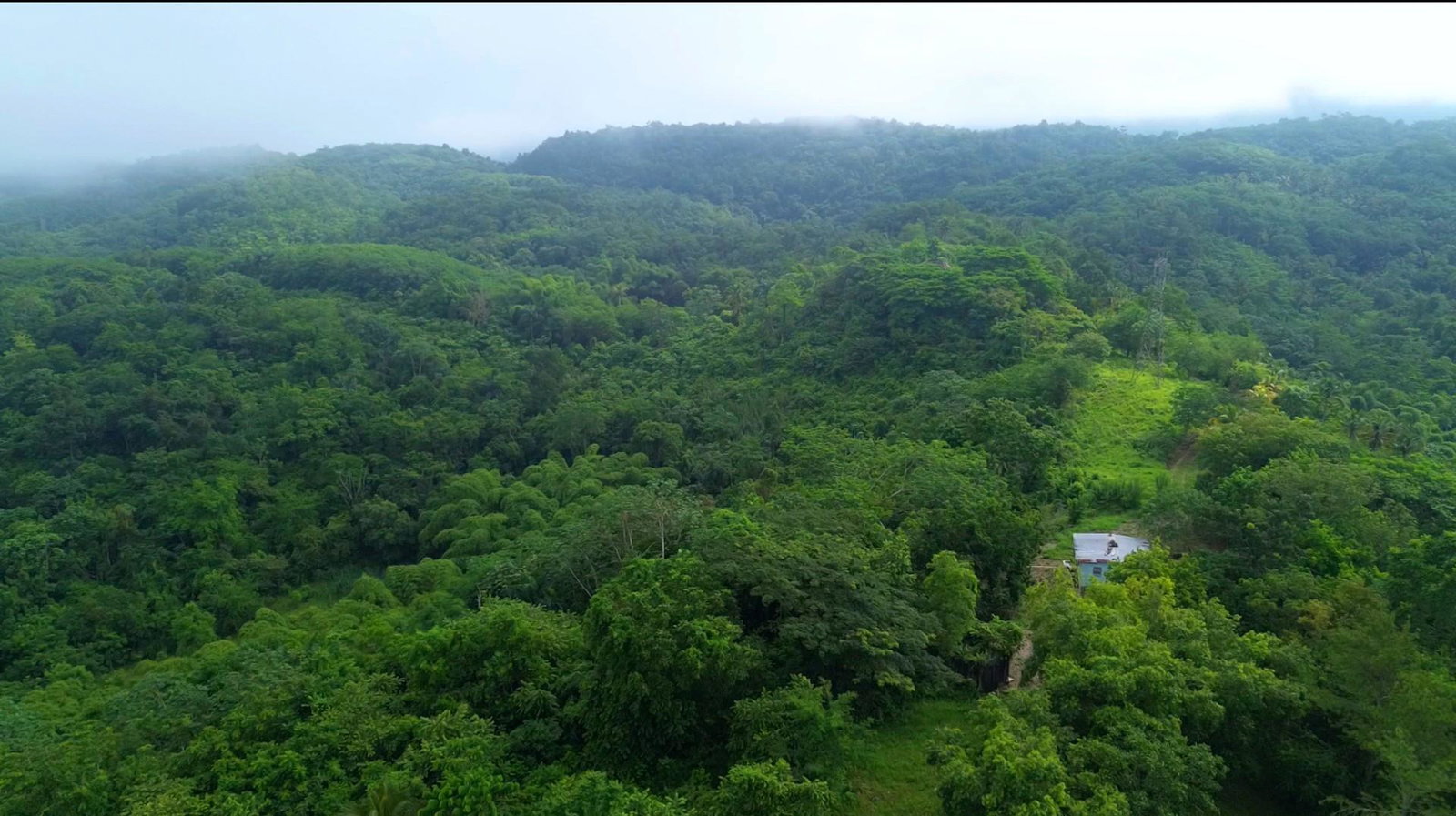 Sixth image of Knollis, West Prospect st in Harkers Hall, St. Catherine, Jamaica - property is For Sale