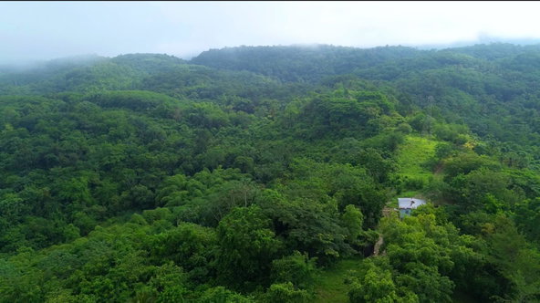 Sixth image of Knollis, West Prospect st in Harkers Hall, St. Catherine, Jamaica - property is For Sale