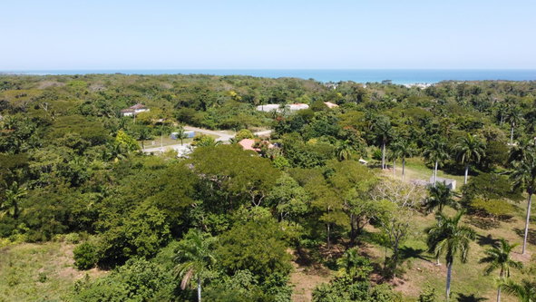 Twentieth image of 332- Drax Hall Estate in Drax Hall Estate, St. Ann, Jamaica - property is For Sale