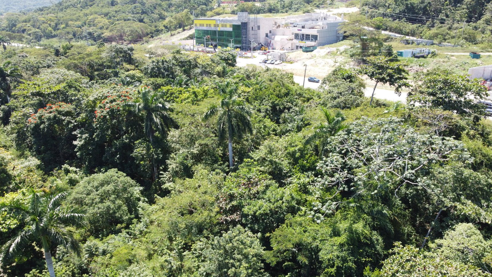 Twenty-Fourth image of 332- Drax Hall Estate in Drax Hall Estate, St. Ann, Jamaica - property is For Sale