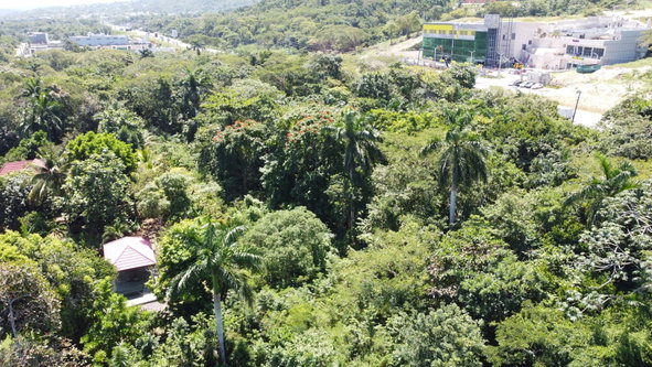 Twenty-Fifth image of 332- Drax Hall Estate in Drax Hall Estate, St. Ann, Jamaica - property is For Sale