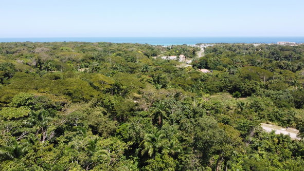 Fifth image of 332- Drax Hall Estate in Drax Hall Estate, St. Ann, Jamaica - property is For Sale