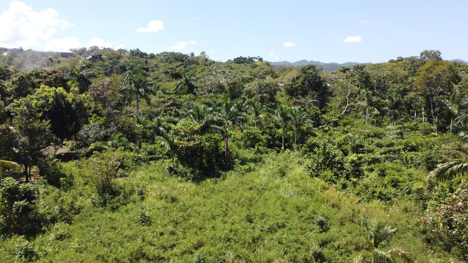 Eighth image of 332- Drax Hall Estate in Drax Hall Estate, St. Ann, Jamaica - property is For Sale