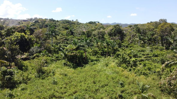 Eighth image of 332- Drax Hall Estate in Drax Hall Estate, St. Ann, Jamaica - property is For Sale