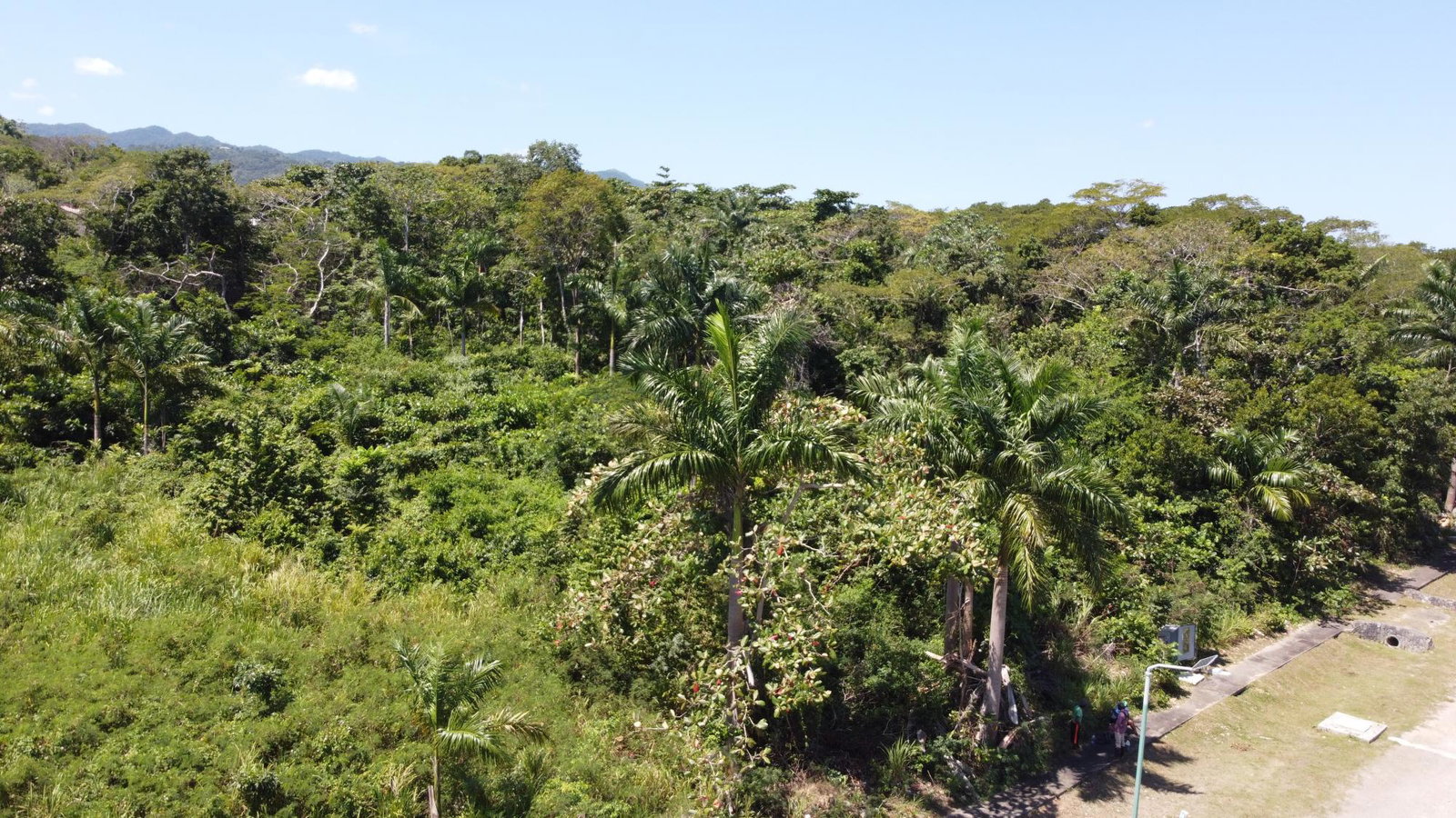 Tenth image of 332- Drax Hall Estate in Drax Hall Estate, St. Ann, Jamaica - property is For Sale