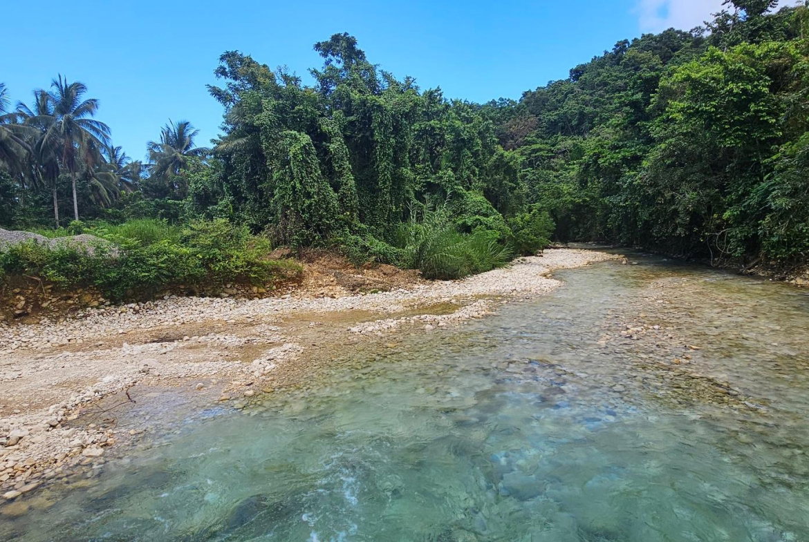 Eleventh image of Woodstock Estate Buff Bay in Buff Bay, Portland, Jamaica - property is For Sale