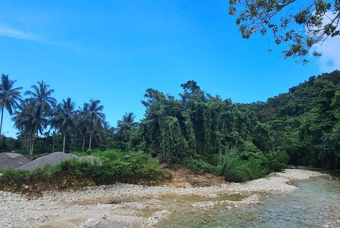 Twelfth image of Woodstock Estate Buff Bay in Buff Bay, Portland, Jamaica - property is For Sale