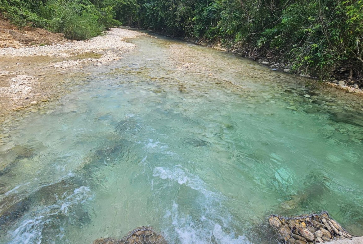 First image of Woodstock Estate Buff Bay in Buff Bay, Portland, Jamaica - property is For Sale