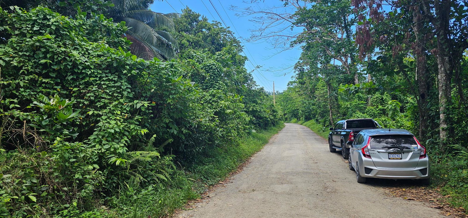 Thirteenth image of Woodstock Estate Buff Bay in Buff Bay, Portland, Jamaica - property is For Sale