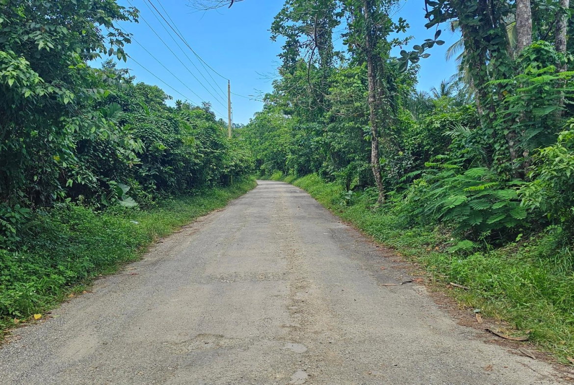 Fourteenth image of Woodstock Estate Buff Bay in Buff Bay, Portland, Jamaica - property is For Sale