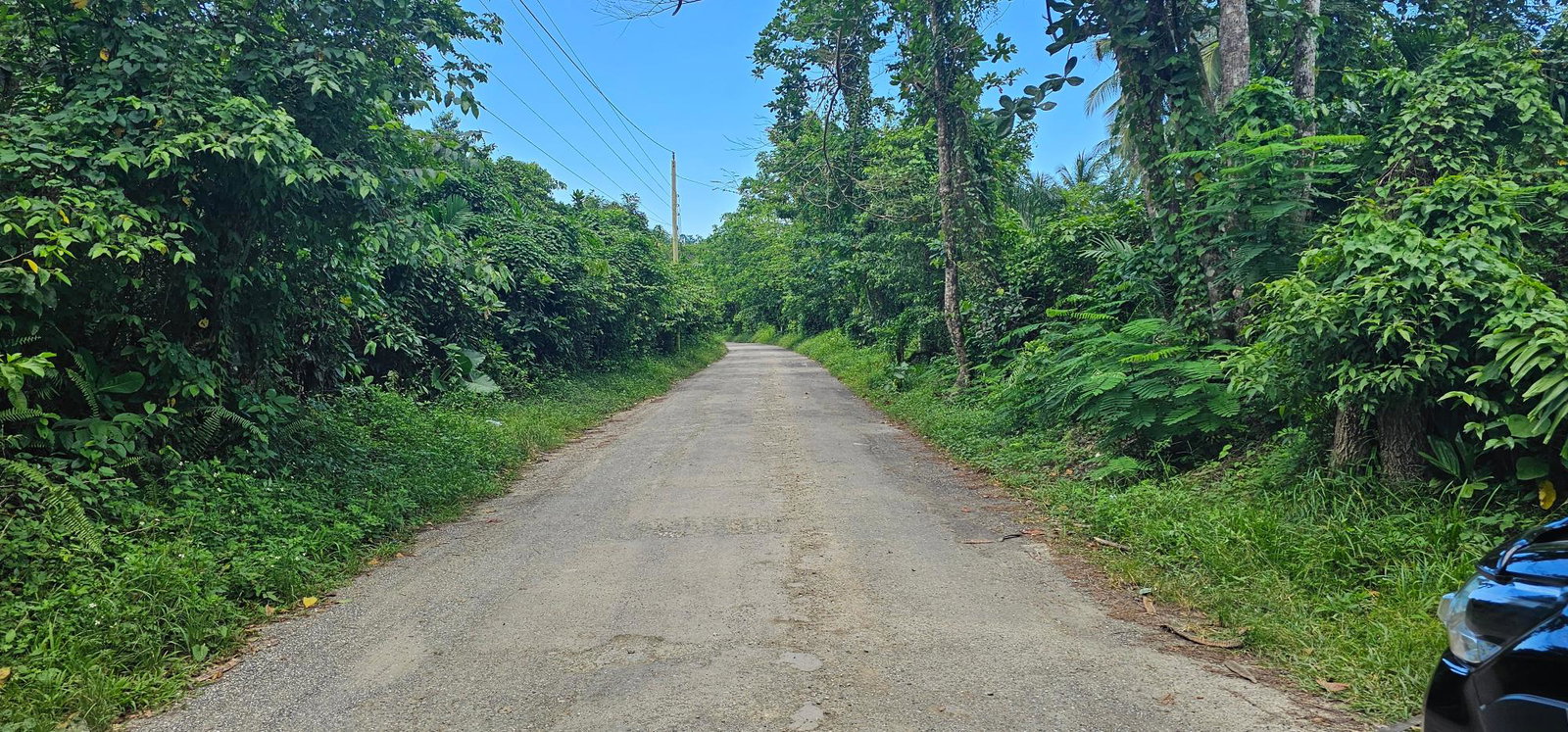 Fourteenth image of Woodstock Estate Buff Bay in Buff Bay, Portland, Jamaica - property is For Sale