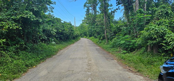 Fourteenth image of Woodstock Estate Buff Bay in Buff Bay, Portland, Jamaica - property is For Sale