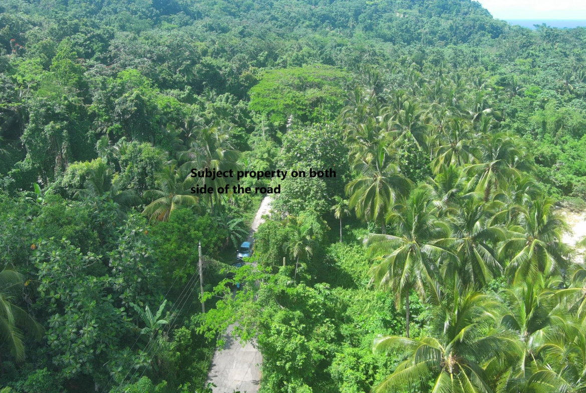 Seventeenth image of Woodstock Estate Buff Bay in Buff Bay, Portland, Jamaica - property is For Sale