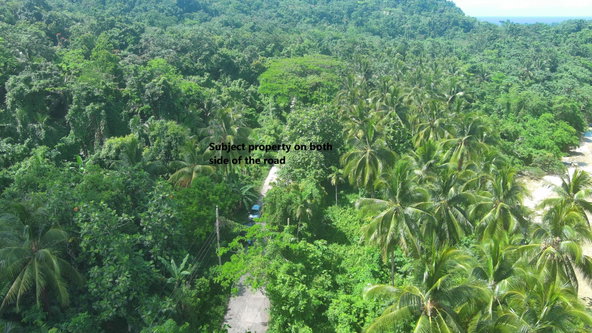 Seventeenth image of Woodstock Estate Buff Bay in Buff Bay, Portland, Jamaica - property is For Sale