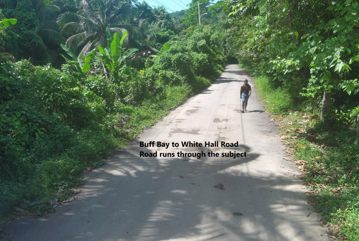 Nineteenth image of Woodstock Estate Buff Bay in Buff Bay, Portland, Jamaica - property is For Sale