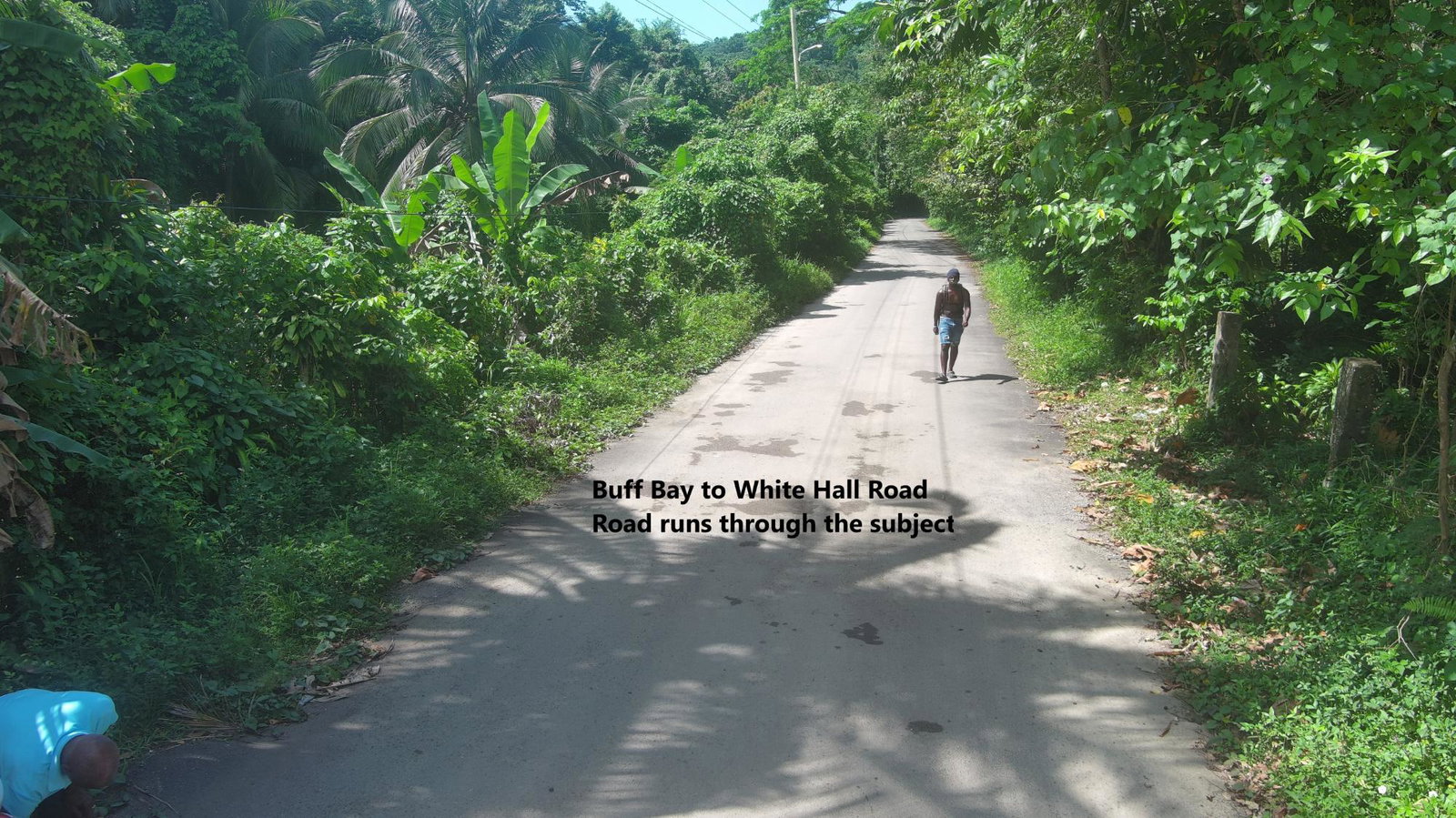 Nineteenth image of Woodstock Estate Buff Bay in Buff Bay, Portland, Jamaica - property is For Sale