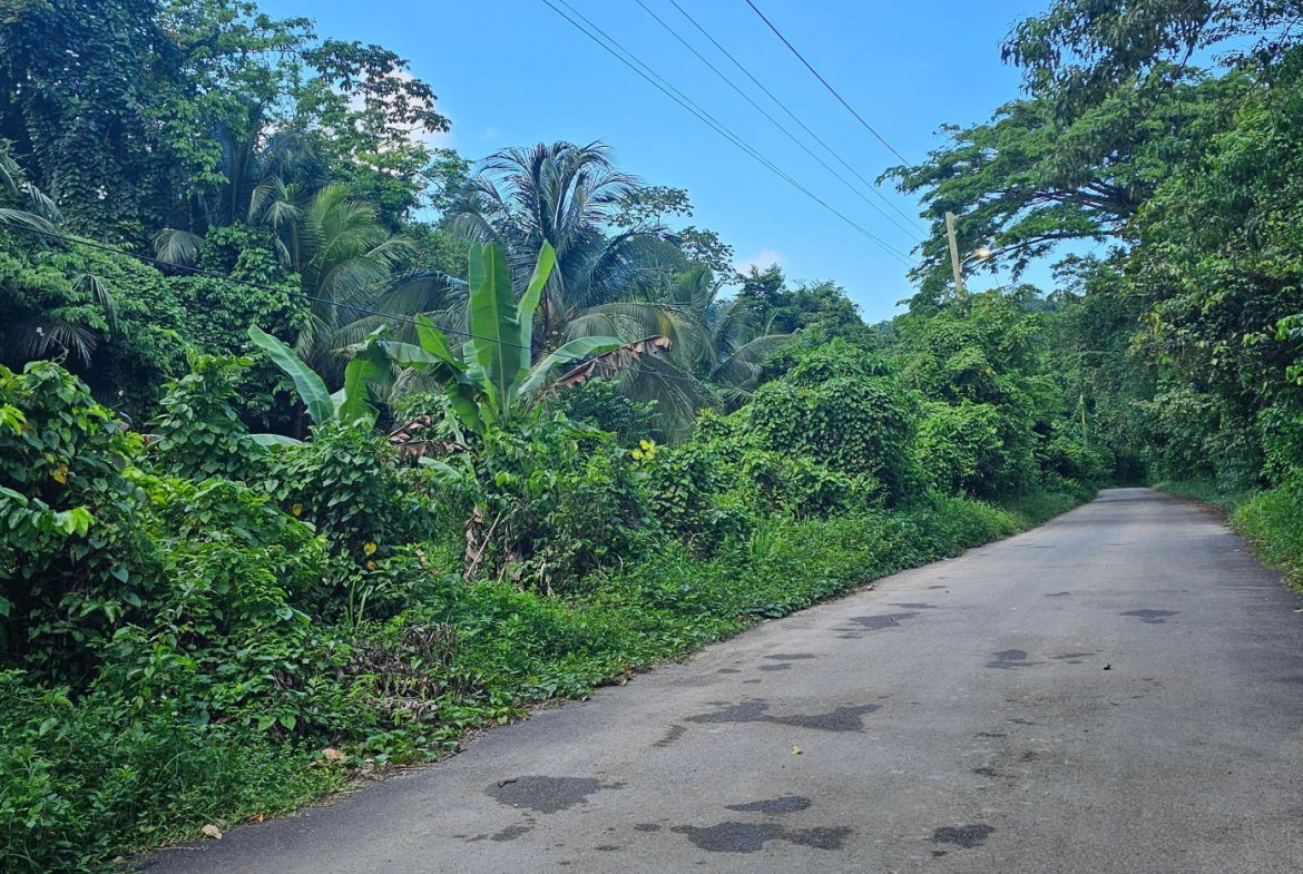 Third image of Woodstock Estate Buff Bay in Buff Bay, Portland, Jamaica - property is For Sale