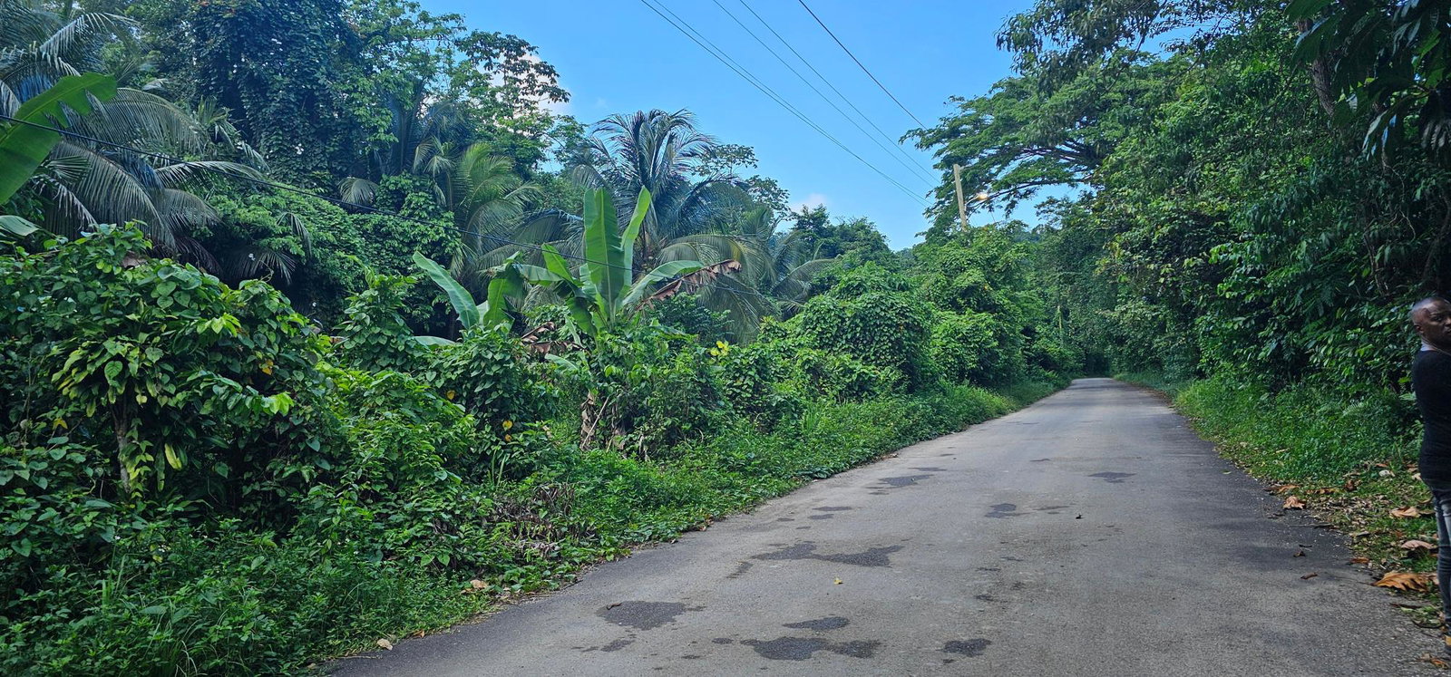 Third image of Woodstock Estate Buff Bay in Buff Bay, Portland, Jamaica - property is For Sale