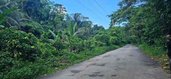 Third image of Woodstock Estate Buff Bay in Buff Bay, Portland, Jamaica - property is For Sale